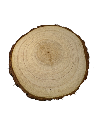 Personalised Wood Slice with Engraving